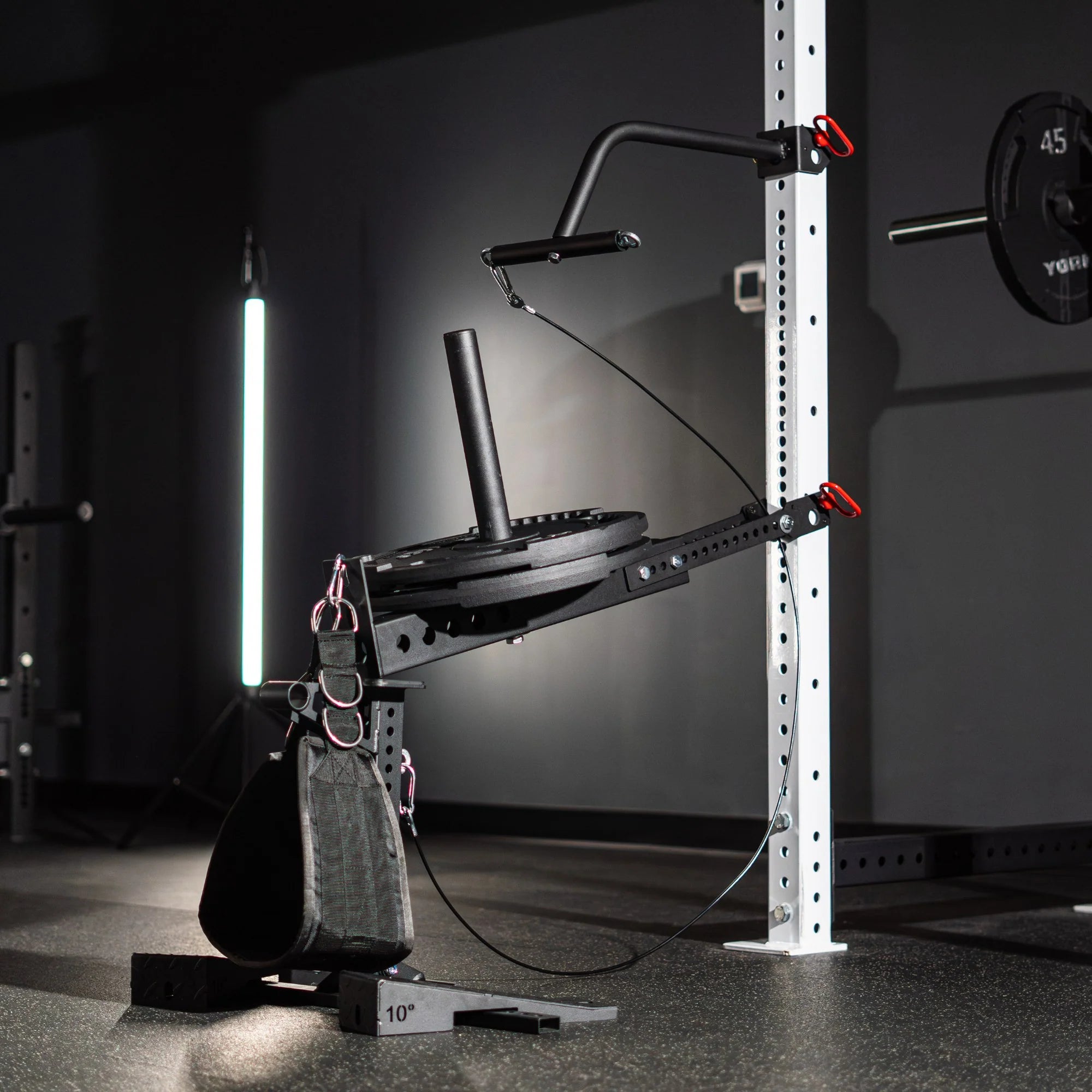 Revolt Belt Squat 2.0 (Free Belt Included)